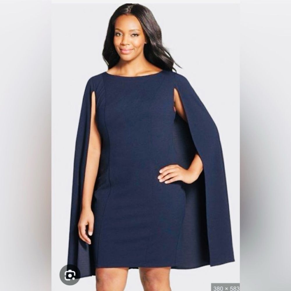 🛍️ Adrianna Papell Gorgeous Navy Cape Sleeve Dress.